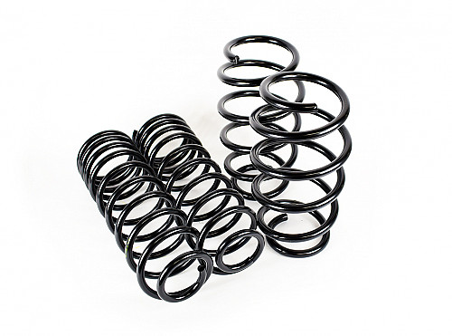 Lowering Springs